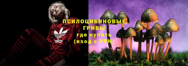 PSILOCYBIN Дмитровск