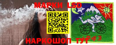 скорость Будённовск