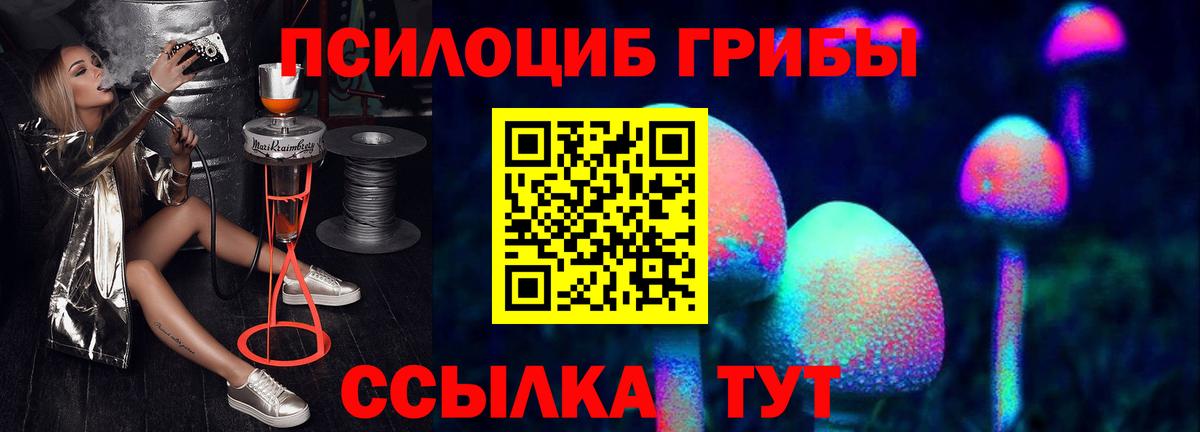 Псилоцибиновые грибы мицелий  Гай  Галлюциногенные грибы Magic Shrooms 