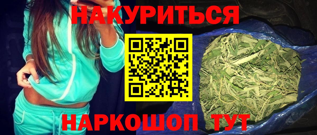 Канабис сатива Гай